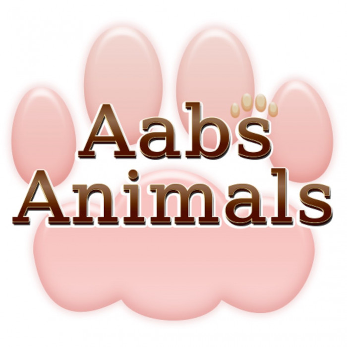 Aabs Animals Aabs Animals