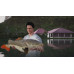 Fishing Sim World®: Pro Tour - Giant Carp Pack