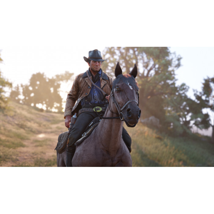 Комплект Red Dead Redemption и Red Dead Redemption 2