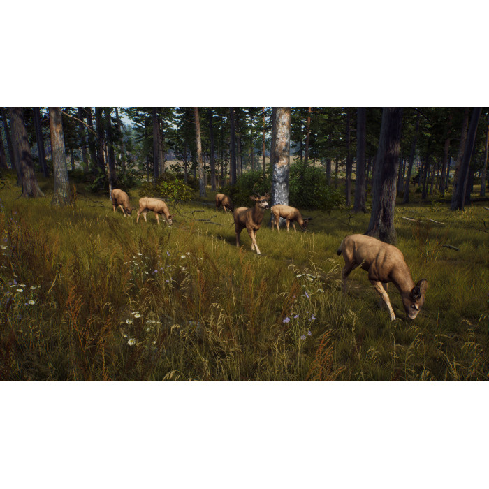 Way of the Hunter: Map Pack 1