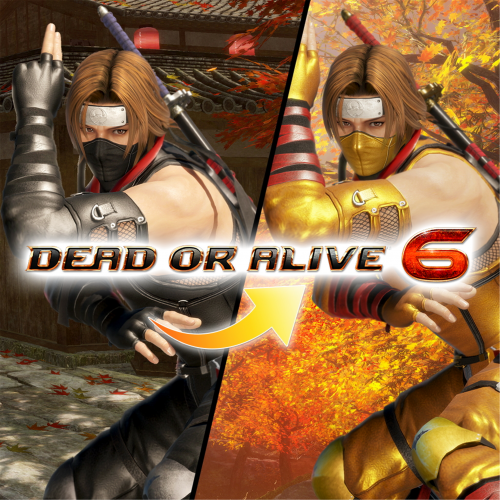 Костюм могучего ниндзя для DOA6 — Хаятэ