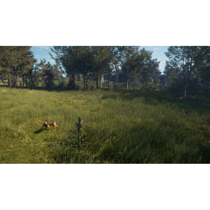 theHunter: Call of the Wild™ - Bloodhound