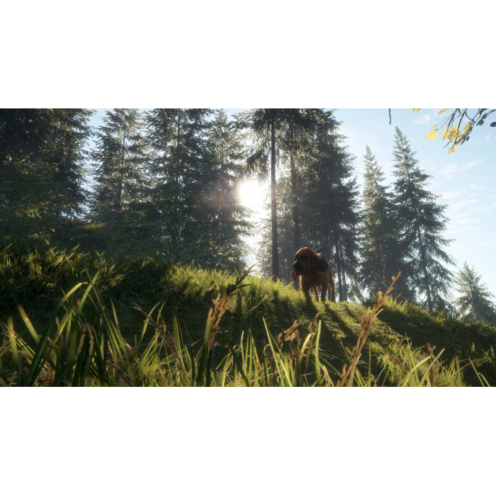 theHunter: Call of the Wild™ - Bloodhound