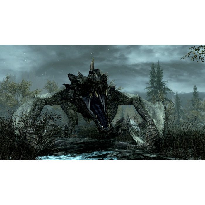 Skyrim Anniversary Edition + Fallout 4 G.O.T.Y Bundle