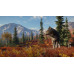 theHunter™: Call of the Wild - Yukon Valley