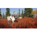 theHunter™: Call of the Wild - Yukon Valley