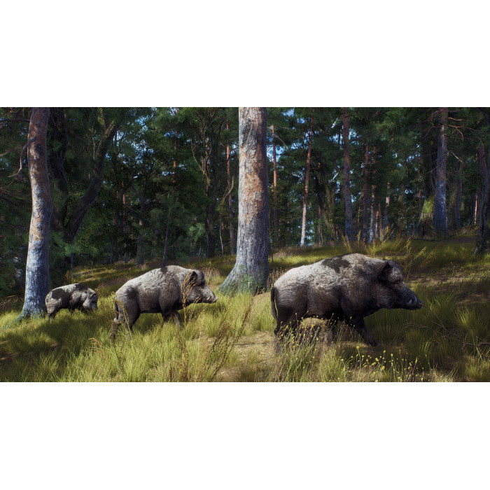 Way of the Hunter: Map Pack 2