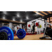 Hotel Renovator - Gym Furniture Set