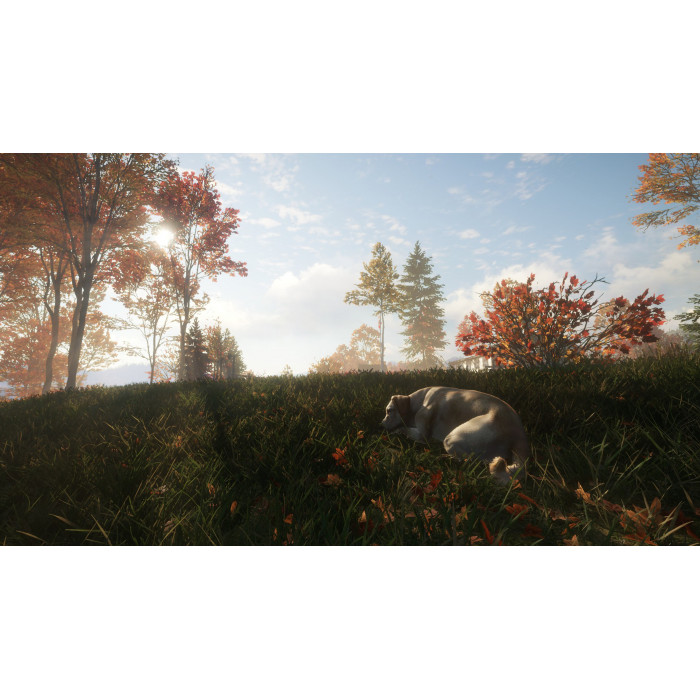 theHunter: Call of the Wild™ - Labrador Retriever