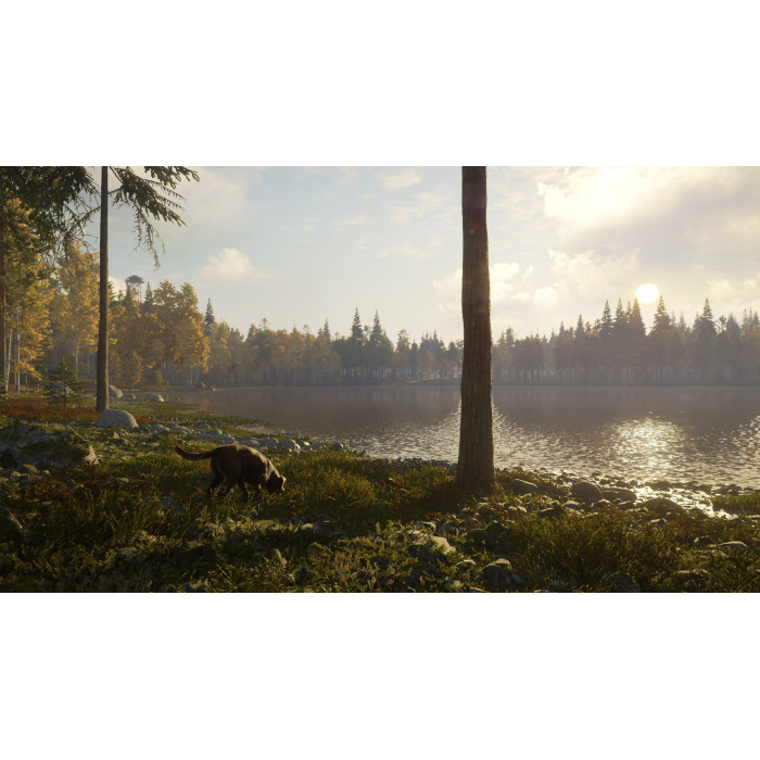 theHunter: Call of the Wild™ - Labrador Retriever