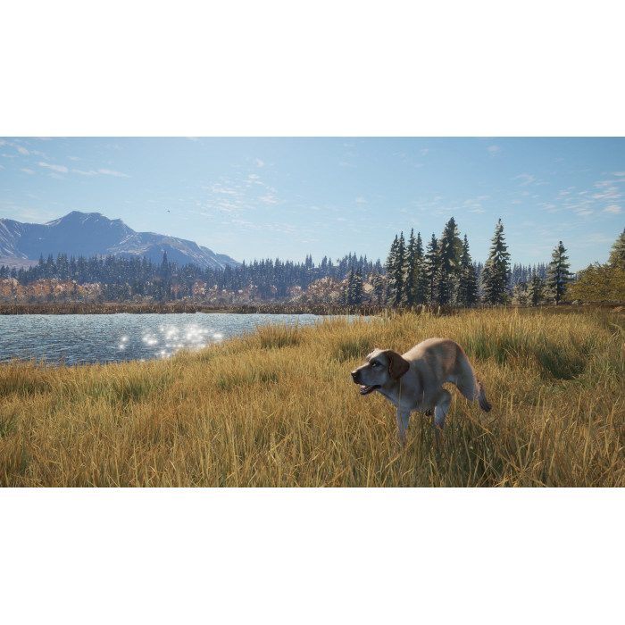 theHunter: Call of the Wild™ - Labrador Retriever