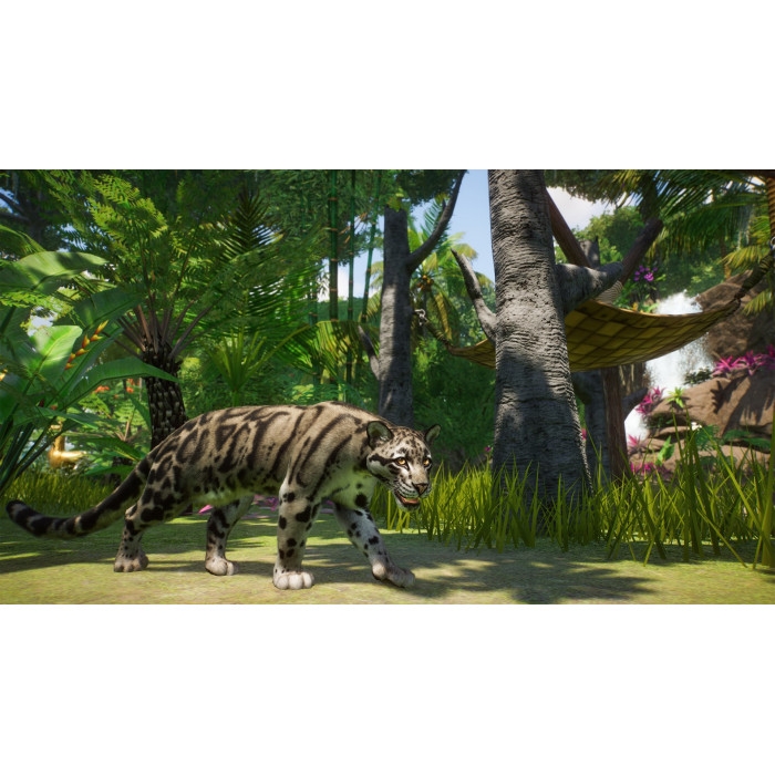 Planet Zoo: Комплект улучшения до издания Deluxe