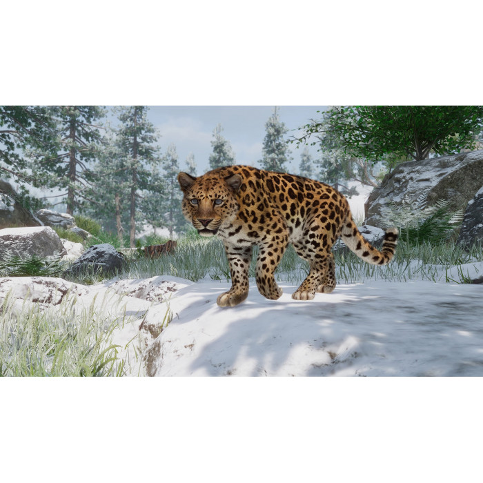 Planet Zoo: Arctic & Conservation Bundle