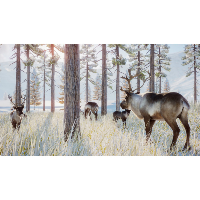 Planet Zoo: Arctic & Conservation Bundle