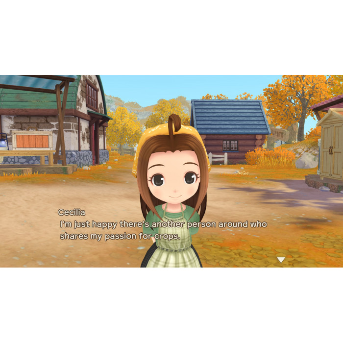 STORY OF SEASONS: A Wonderful Life