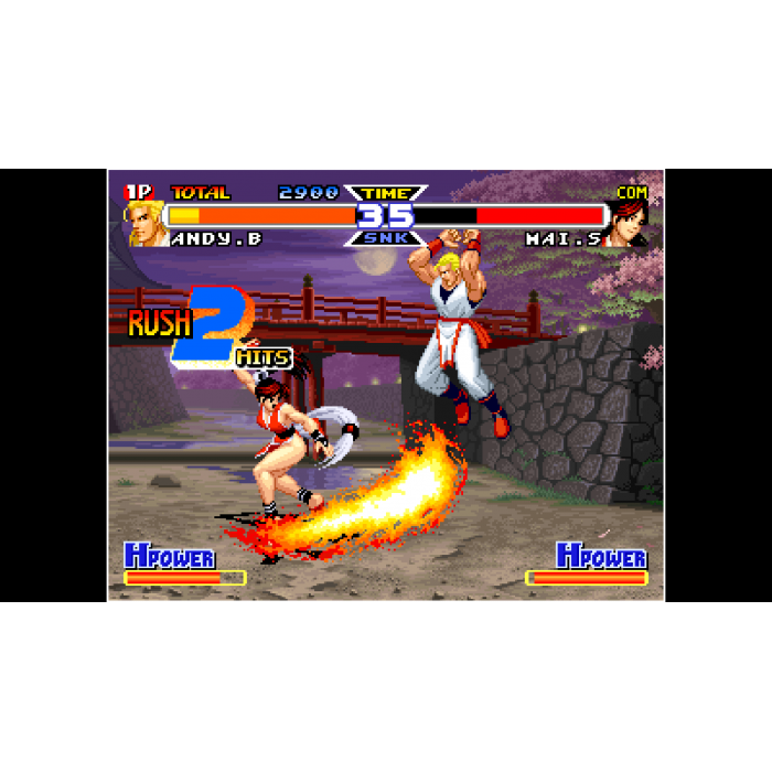 ACA NEOGEO REAL BOUT FATAL FURY SPECIAL