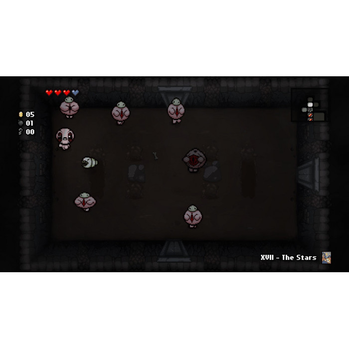 The Binding of Isaac: Rebirth