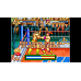 ACA NEOGEO 3 COUNT BOUT