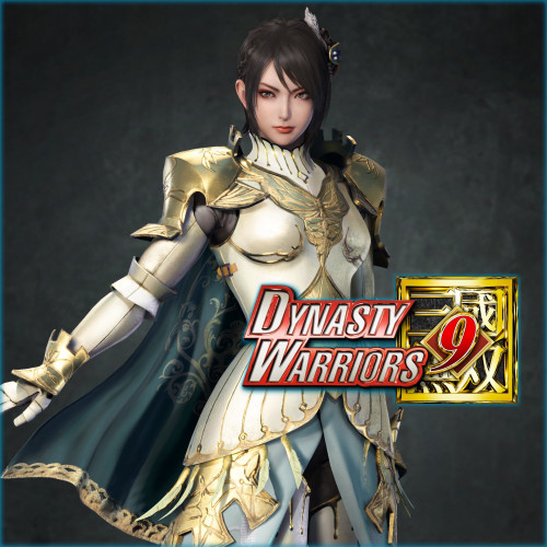 DYNASTY WARRIORS 9: Xingcai 'Knight Costume'