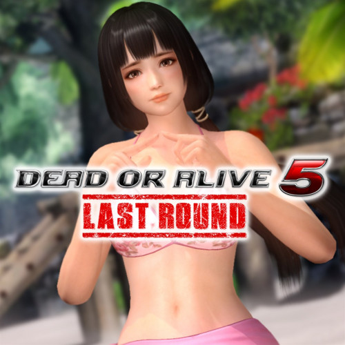 Мэшап DOA5LR и Gust — Наотора Ии и Ророна