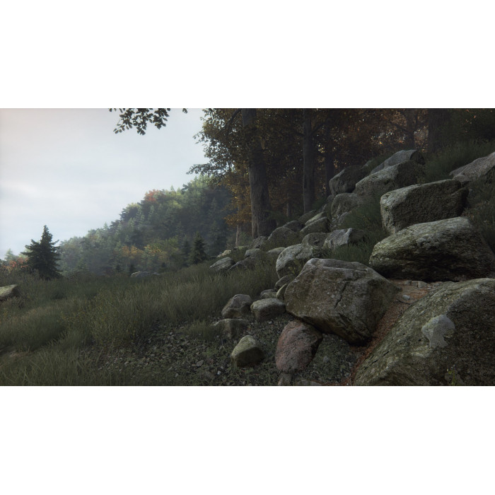 The Vanishing of Ethan Carter