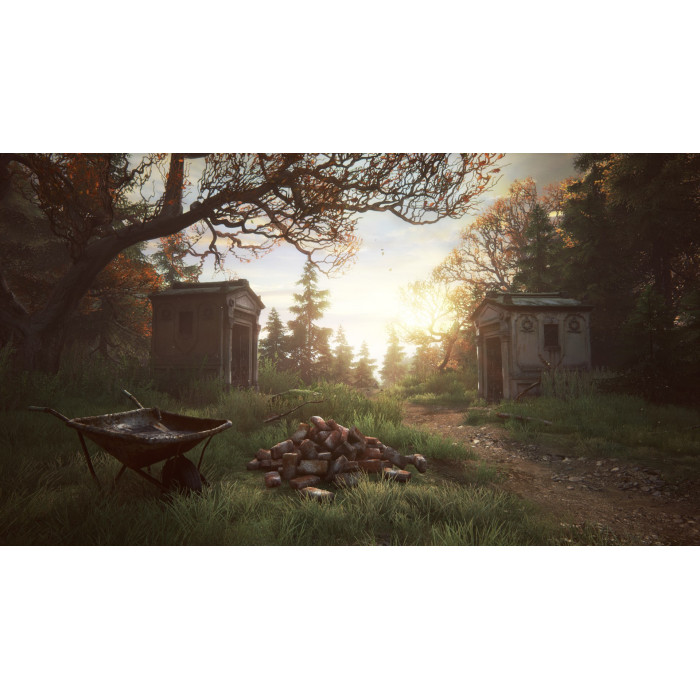 The Vanishing of Ethan Carter