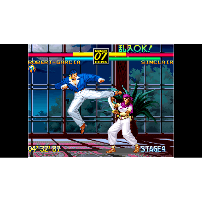 ACA NEOGEO ART OF FIGHTING 3