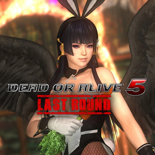 DEAD OR ALIVE 5 Last Round — красавица зайка Нётэнгу