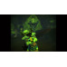 Conker: Live and Reloaded