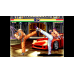 ACA NEOGEO ART OF FIGHTING 2