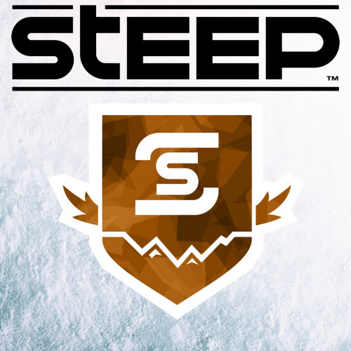 Кредиты STEEP™ — бронзовый набор