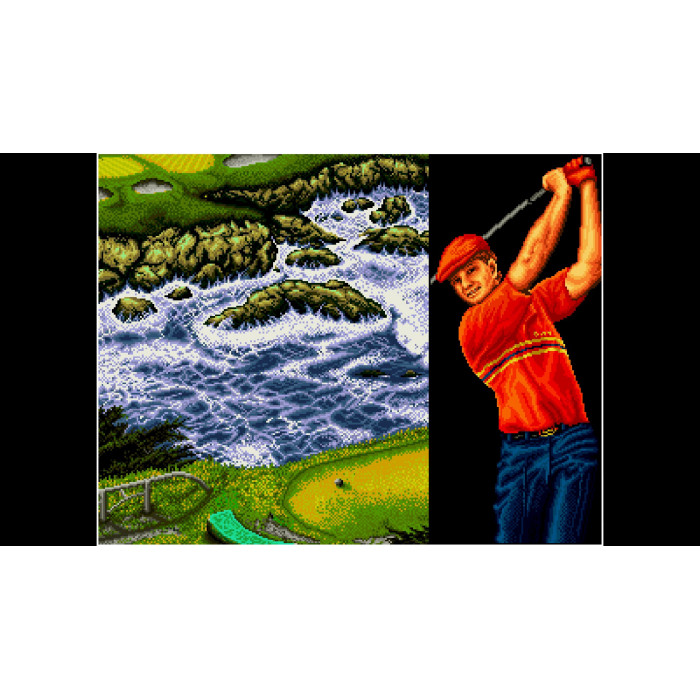 ACA NEOGEO TOP PLAYERS GOLF