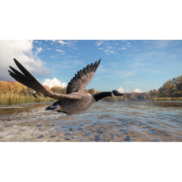 theHunter™: Call of the Wild - Wild Goose Chase Gear