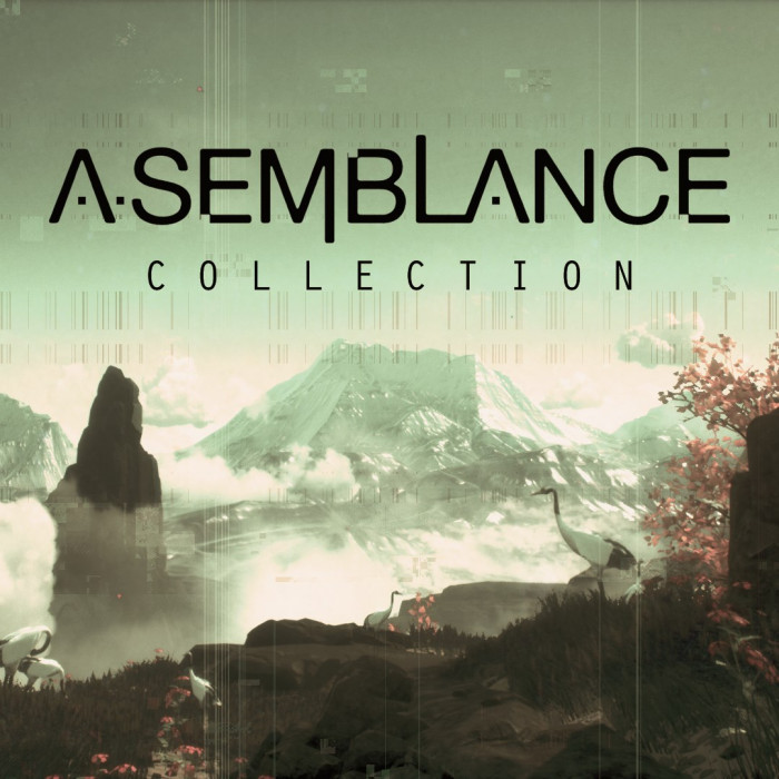 Asemblance Collection