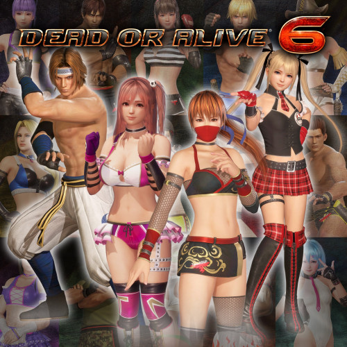 DOA6 Deluxe Costume Set (25 costumes)