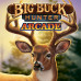 Big Buck Hunter Arcade