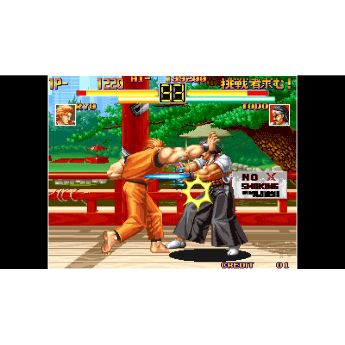 ACA NEOGEO ART OF FIGHTING