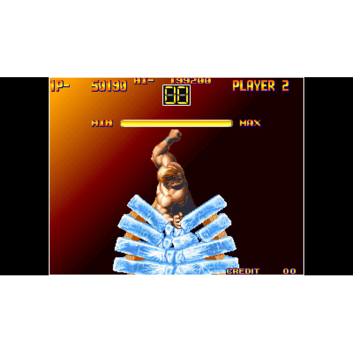 ACA NEOGEO ART OF FIGHTING