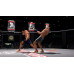 Bellator: MMA Onslaught