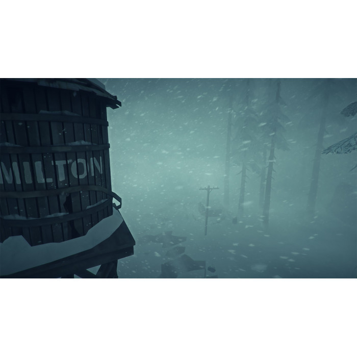 The Long Dark