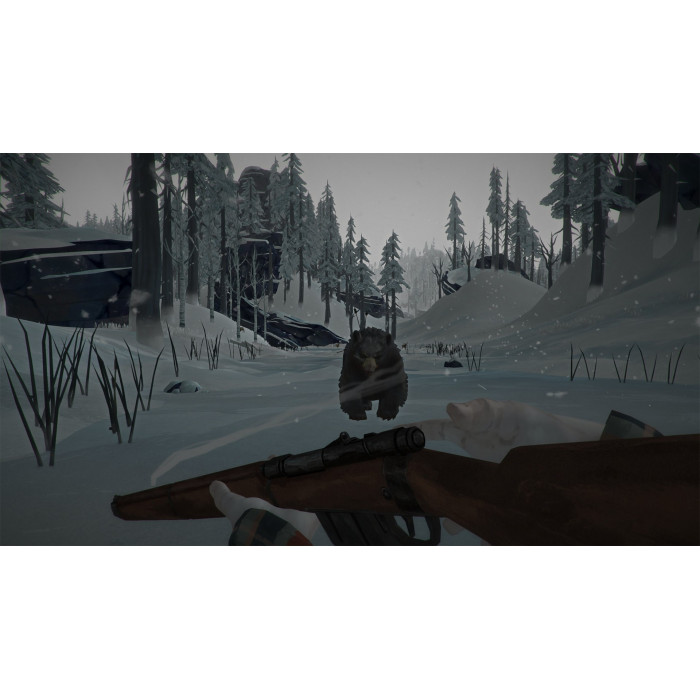 The Long Dark