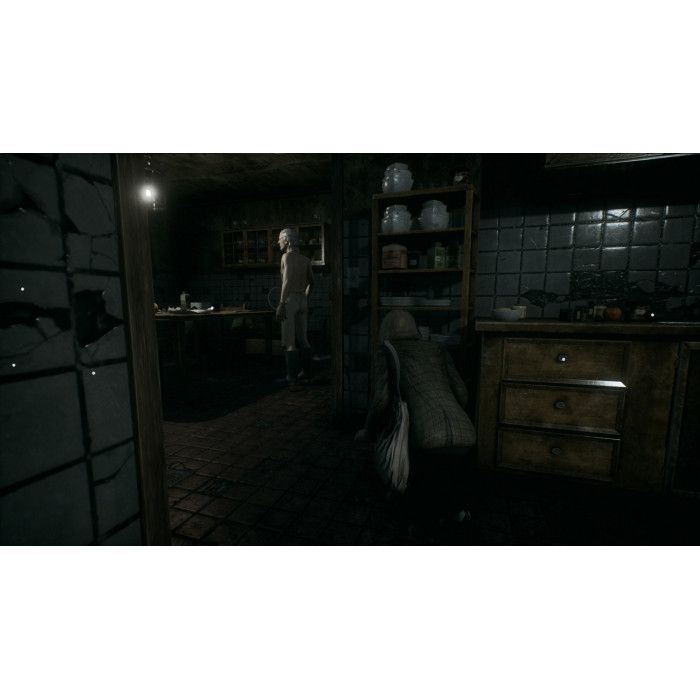 Remothered: Tormented Fathers