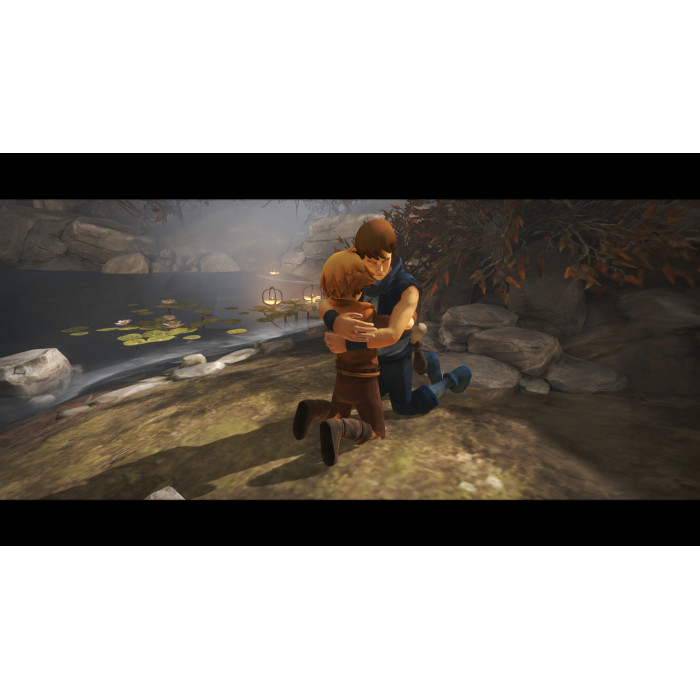 Brothers: a Tale of Two Sons