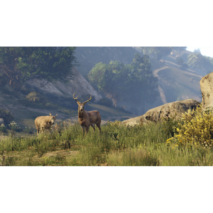 Комплект «Grand Theft Auto V: Premium Edition и платежная карта «Белая акула»