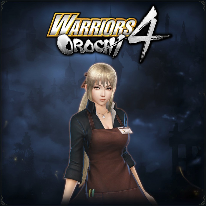 WARRIORS OROCHI 4: Bonus Costume for Wang Yuanji