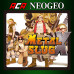 ACA NEOGEO METAL SLUG X